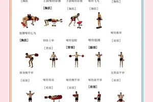 怎么样练习哑铃才能对打篮球有帮助？